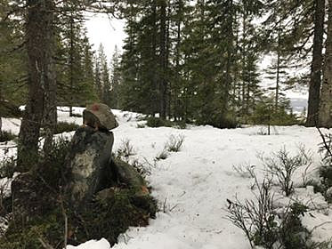 Vi må vel ta ein dugnadstur opp til Skonhovd for å hjelpe han lokalhøvdingen litt med vardebygging, for dette var stusslege saker...