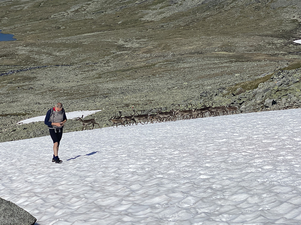 Gråbein er meir opptatt av mobilen og SoMe enn naturen rundt seg. 