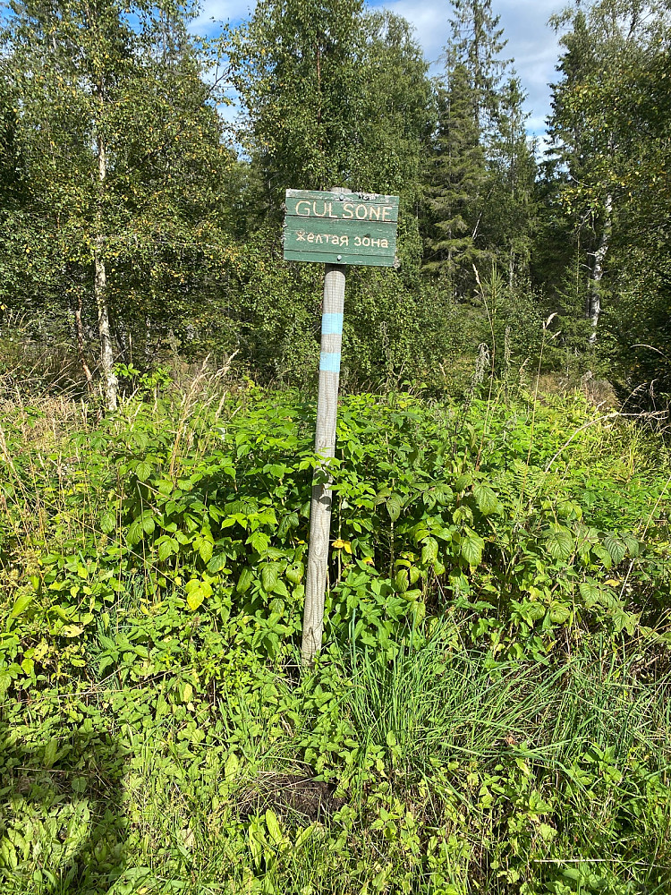 Koronaen herjer?