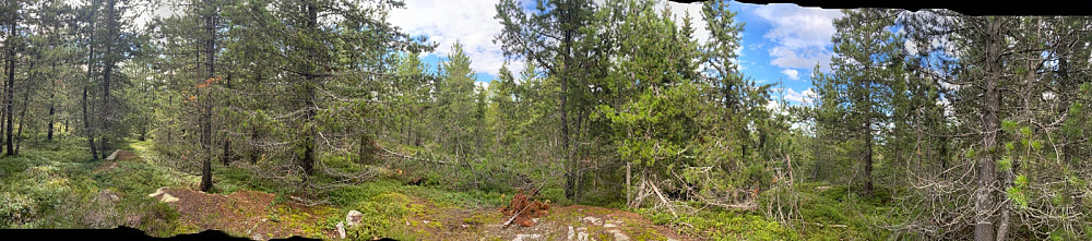 Panorama frå Barlinhøgda