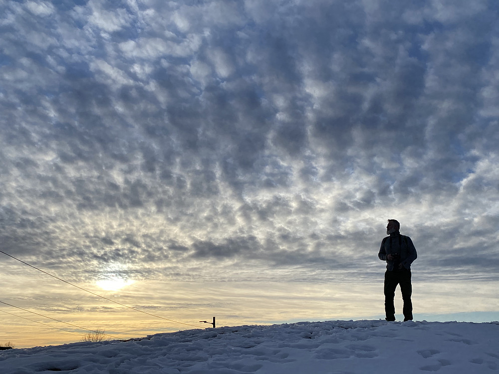 Skjegg i solnedgang