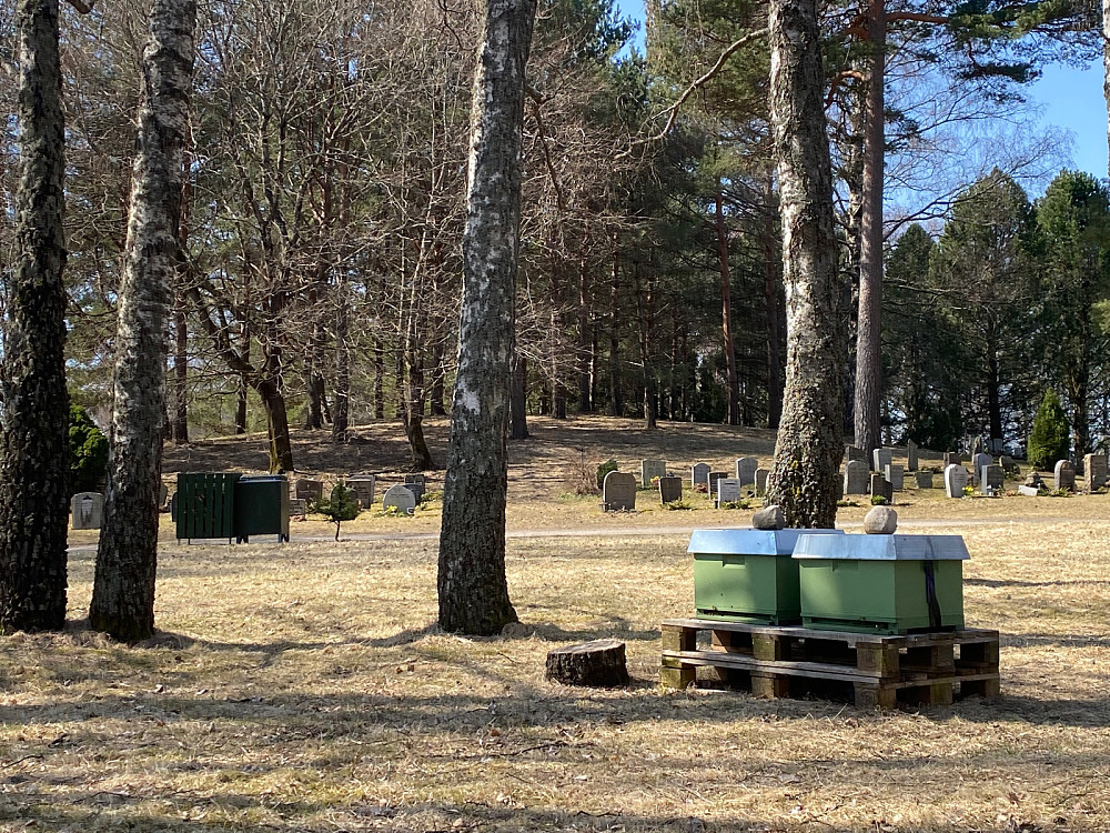 Dødsgod honning...