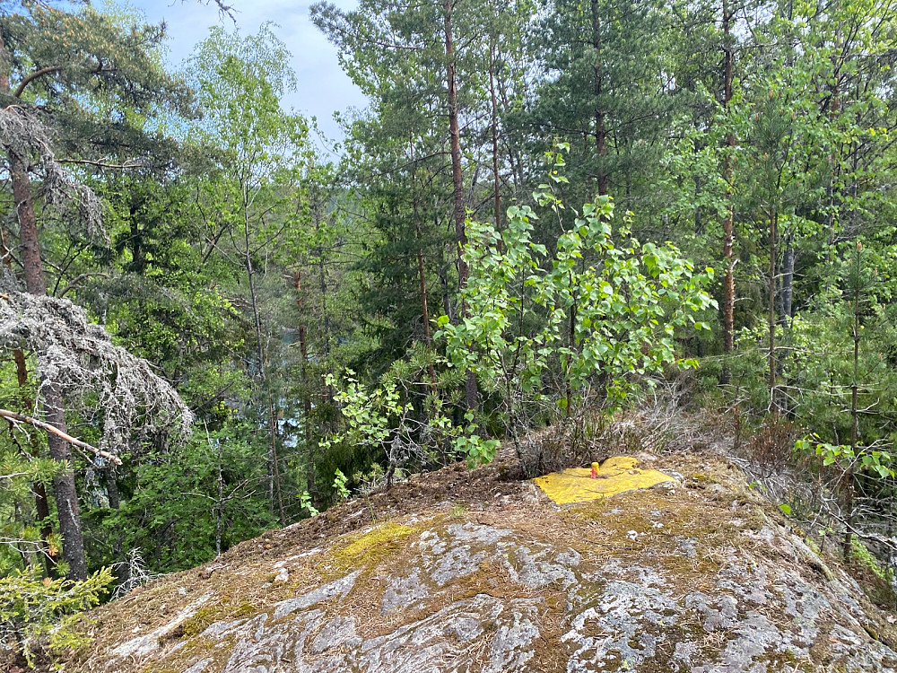 Yellow brick road