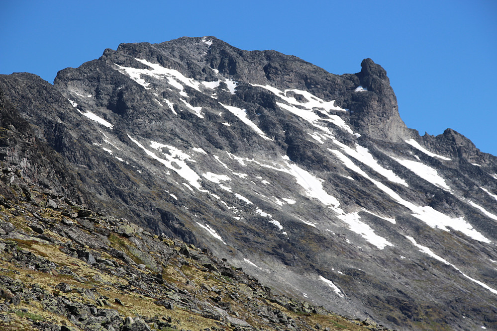Skardstind ruvar godt.
