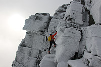 garm_img_2791.jpg