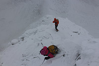 garm_img_2810.jpg
