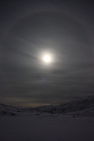 garm_img_8107.jpg