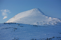 garm_img_8130.jpg