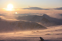garm_img_8145.jpg