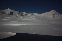 garm_img_8195.jpg