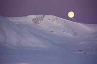 garm_img_8247.jpg