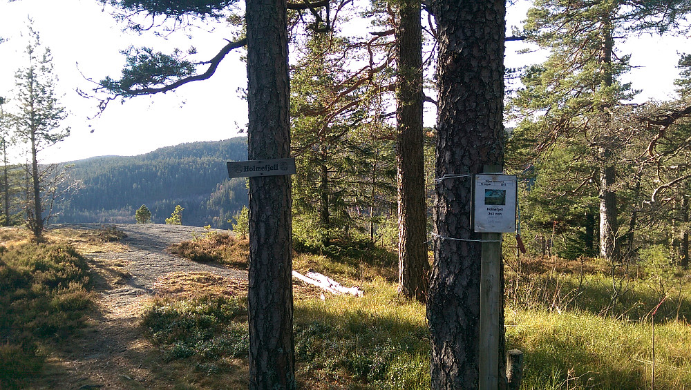 Holmfjell er en Siljan Ti-topp