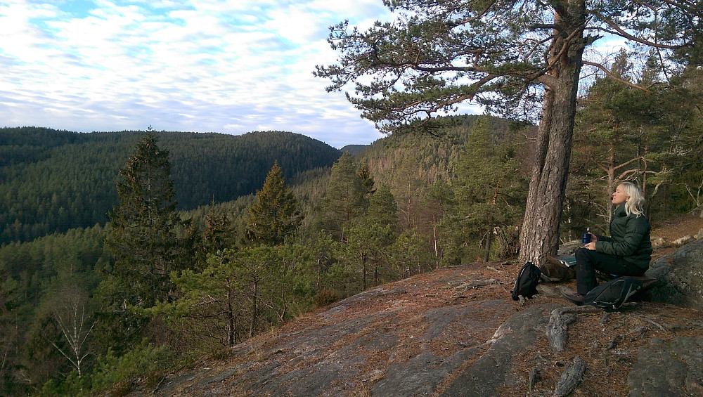 Fineste toppen. Tinnskollen