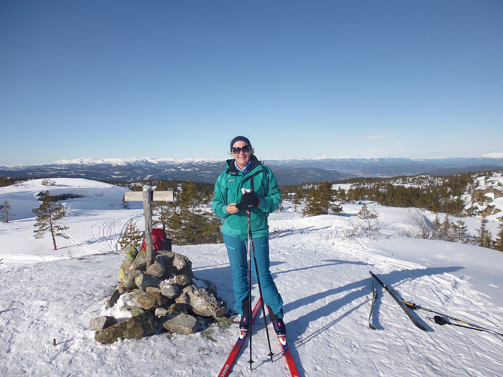 Toppen av Ørnenuten med utsikt mot bla. Gaustatoppen