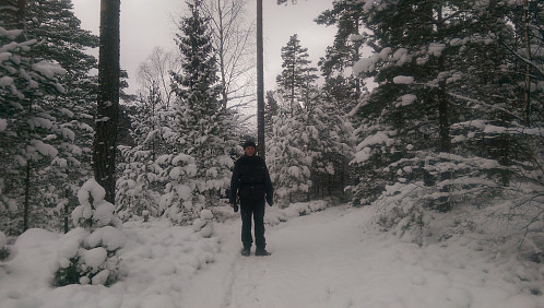 På vei opp til Brynhildsbu. Vinterwonderland!
