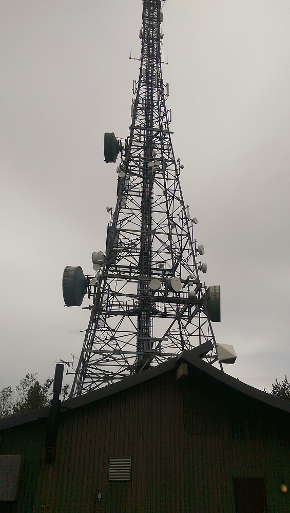 Tårnet på Viktjernhøgda 330 moh.