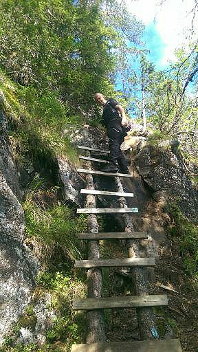 Trapen