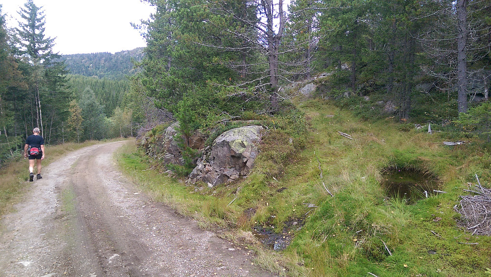På en liten bakketopp går denne traktorveien/ATV-veien inn i skogen. Følg denne