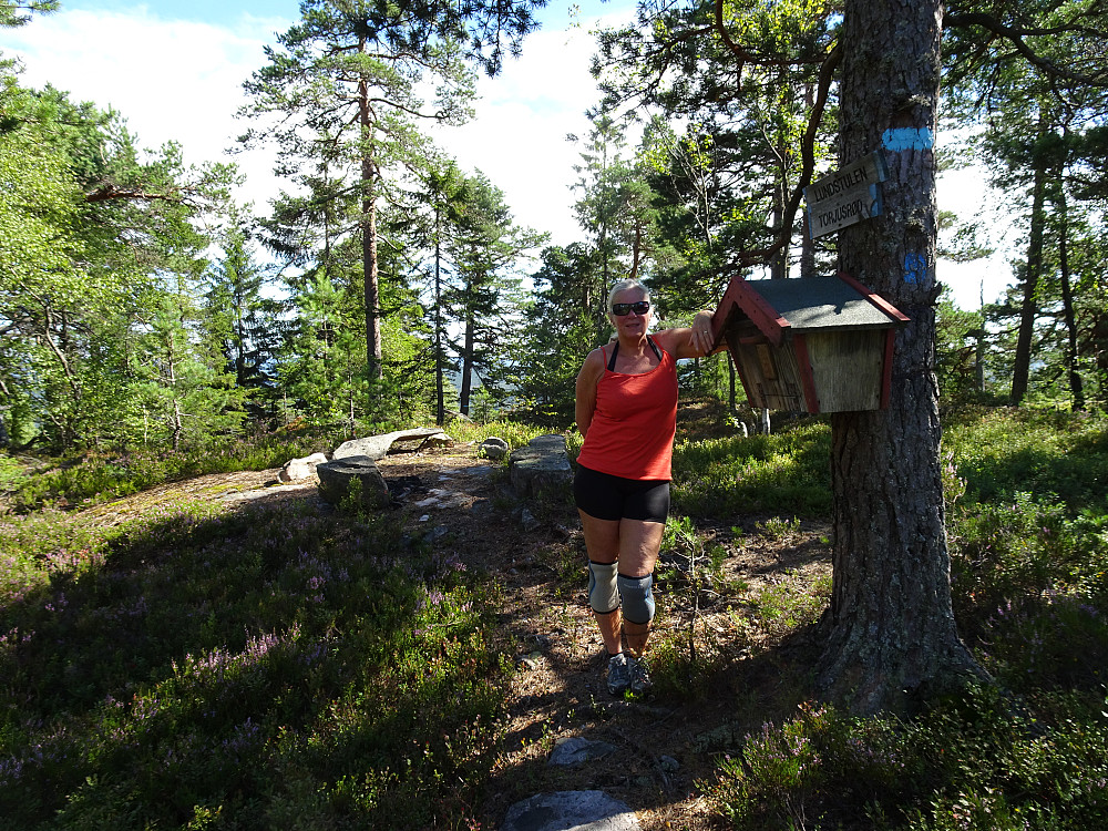 Toppen av Vasslausfjellet