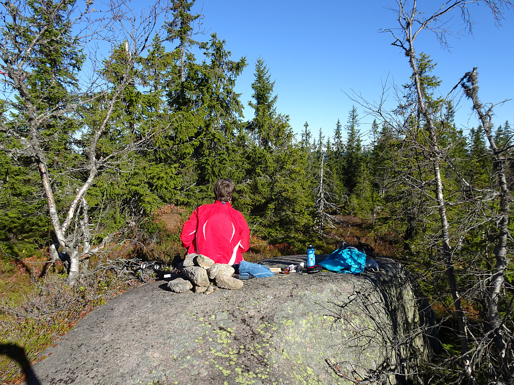 Sissel på toppen av Lauvkollen