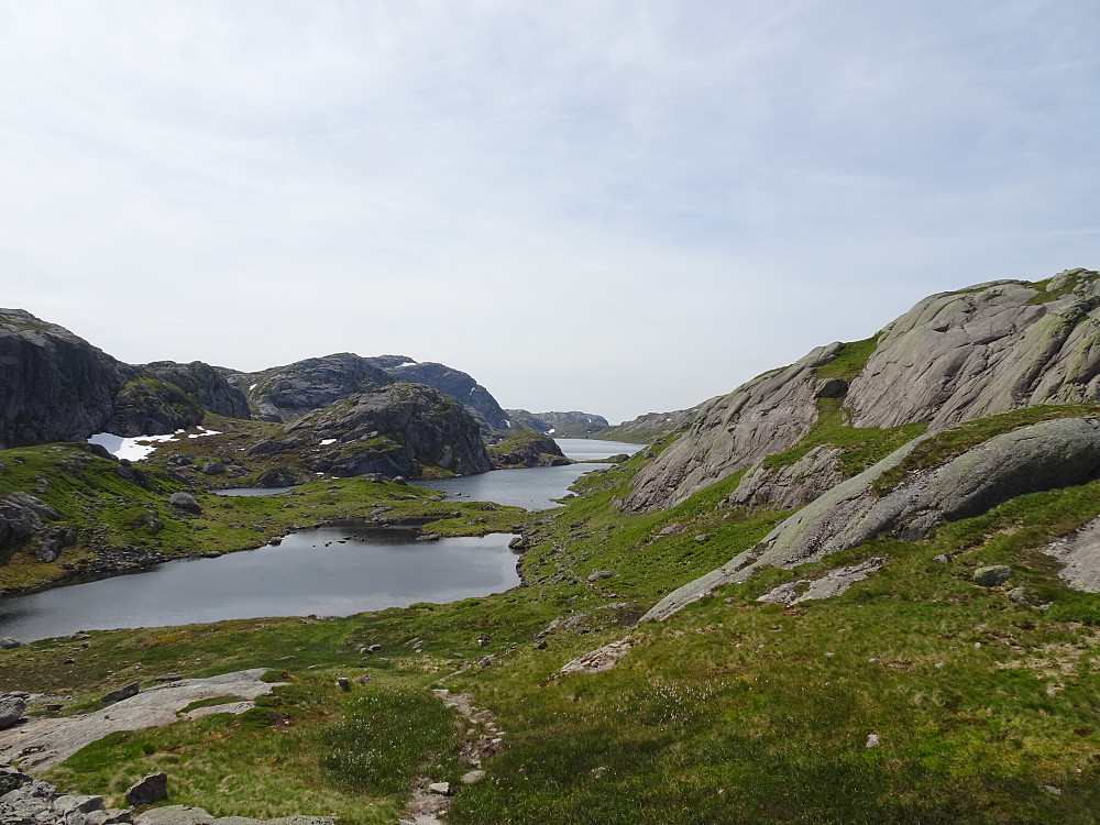 Langavatn