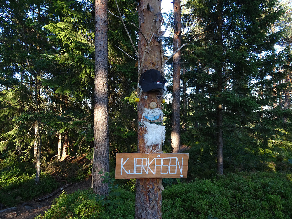Barnevennlig topp dette. 