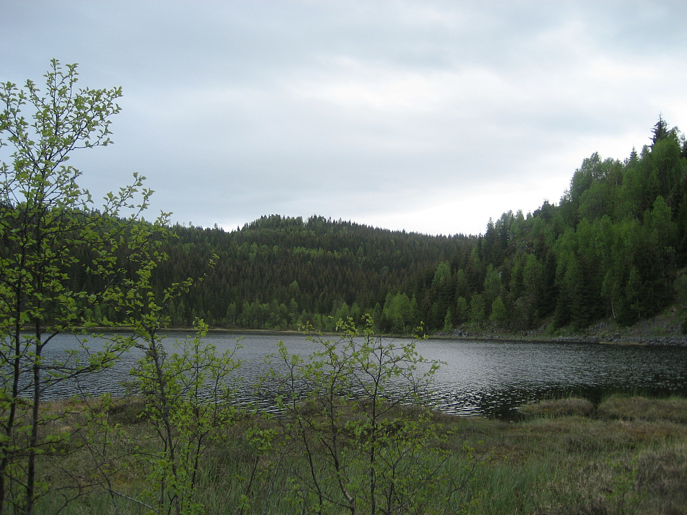 Havretjern