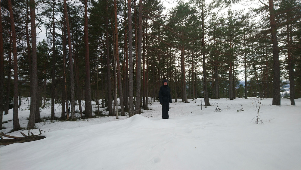 Toppen av Harpås nord