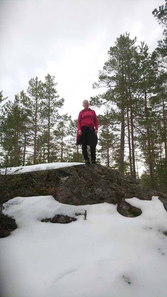 Toppen av Stangefjell