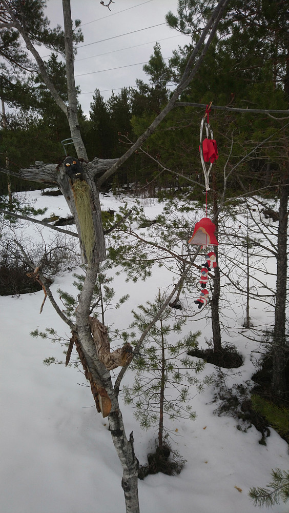 Slektstre står det her på vei opp. Hvilken slekt?