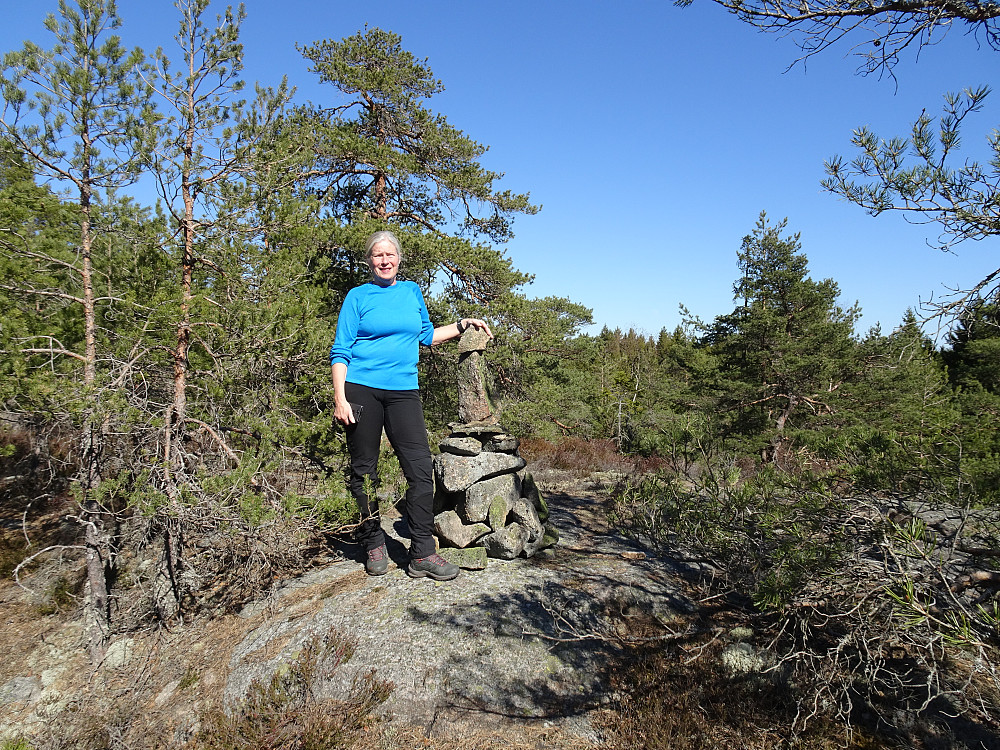 Toppvarden