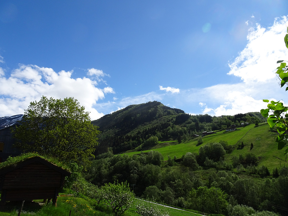Galden sett fra min brors hus