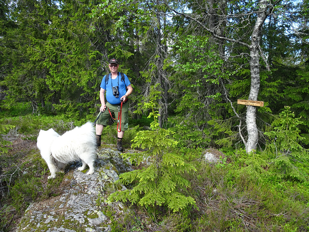 Vivangshøgda