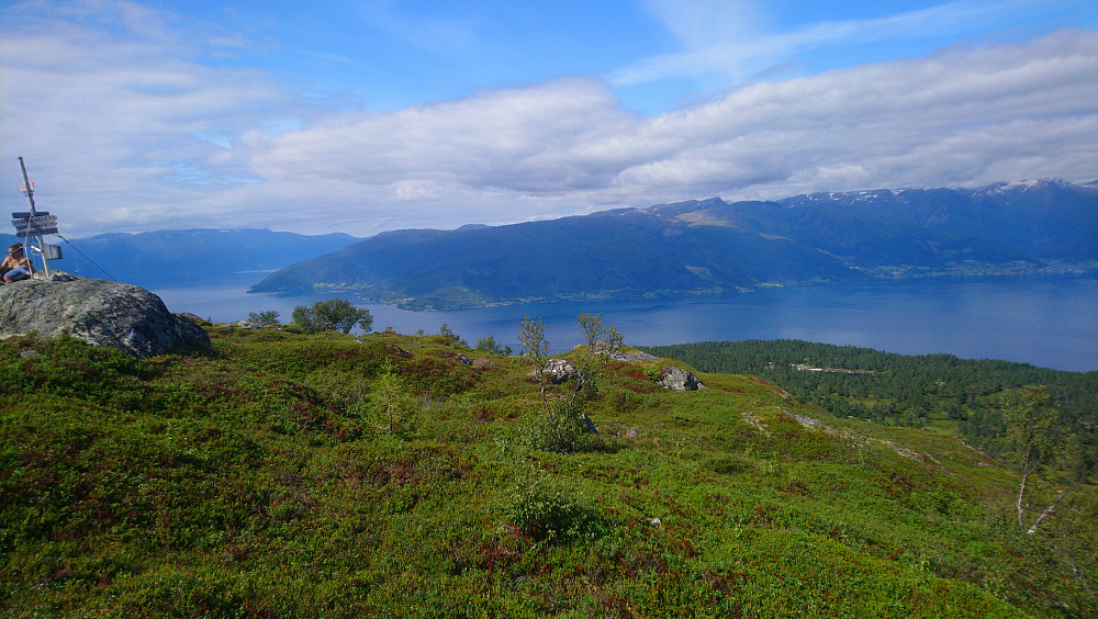 Toppen av Kvitenjuk med utsikt utover fjorden