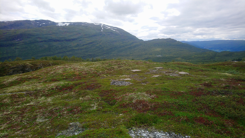 Toppområdet på Flatafjellet med Krossfonni i bakgrunnen. Rambera bak innpå fjellet bak snøfonna.