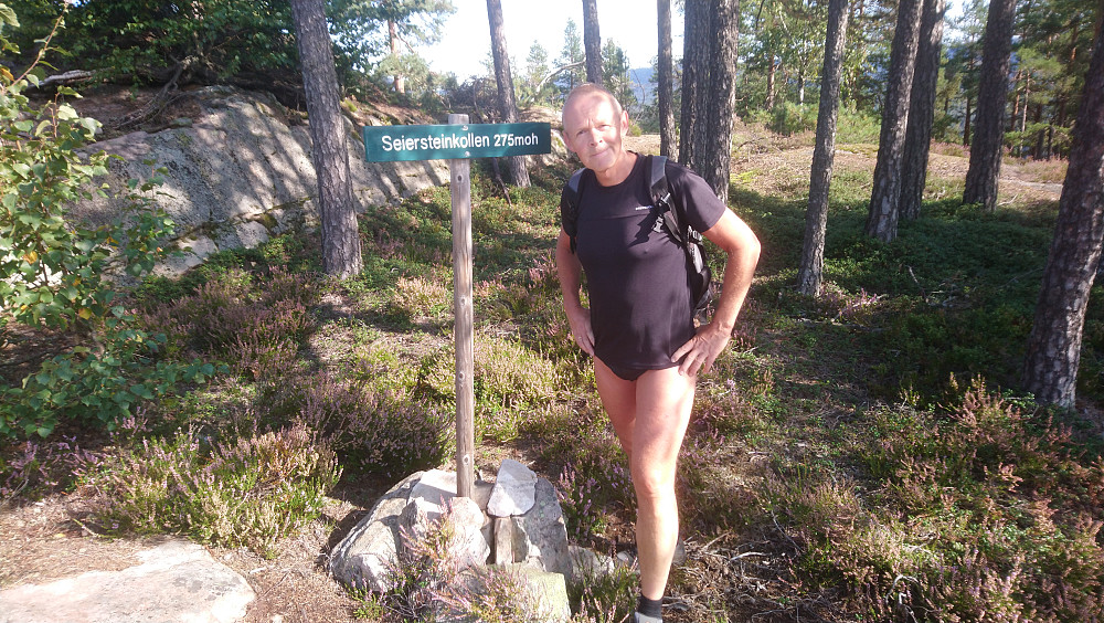 Seiersteinskollen