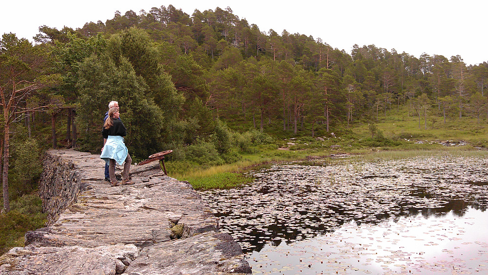 På toppen av demningen|[[image:LivogKristen_20191124_5dda4e489317d.jpg|Fine vannliljer på vannet