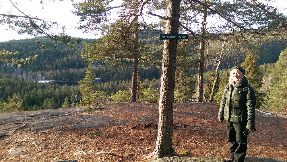 Tinnskollen