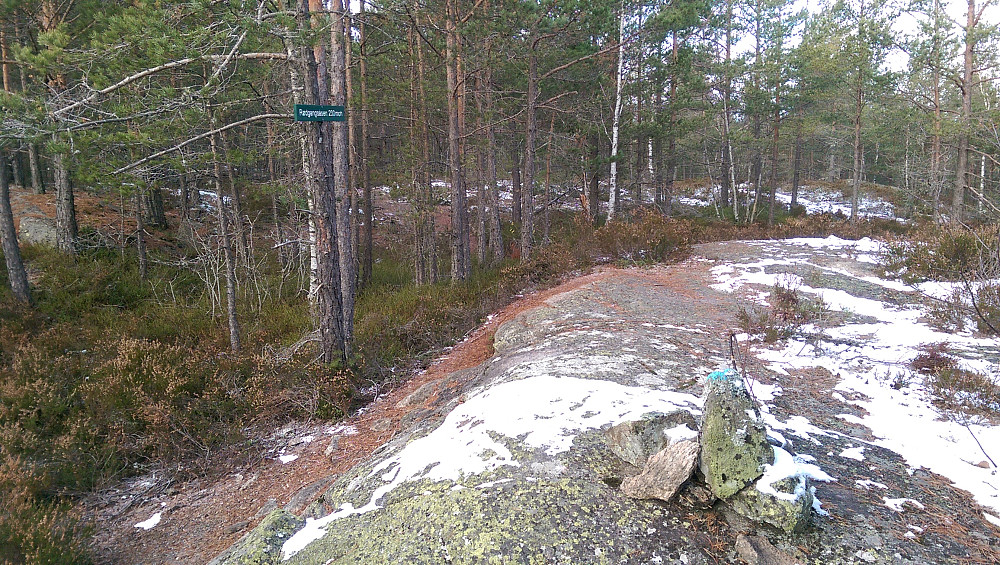 Rødgangskollen