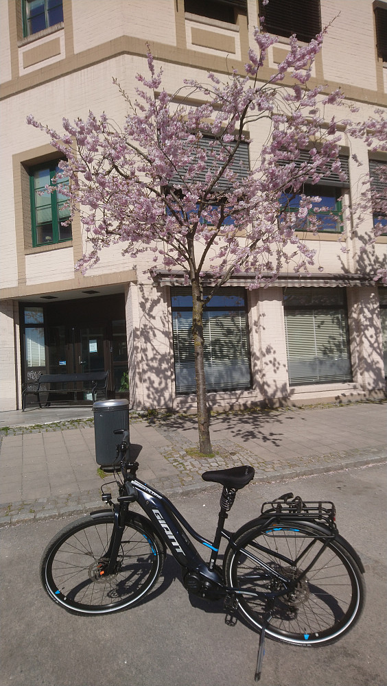 Det er vår ved Kaffehuset i Skien sentrum