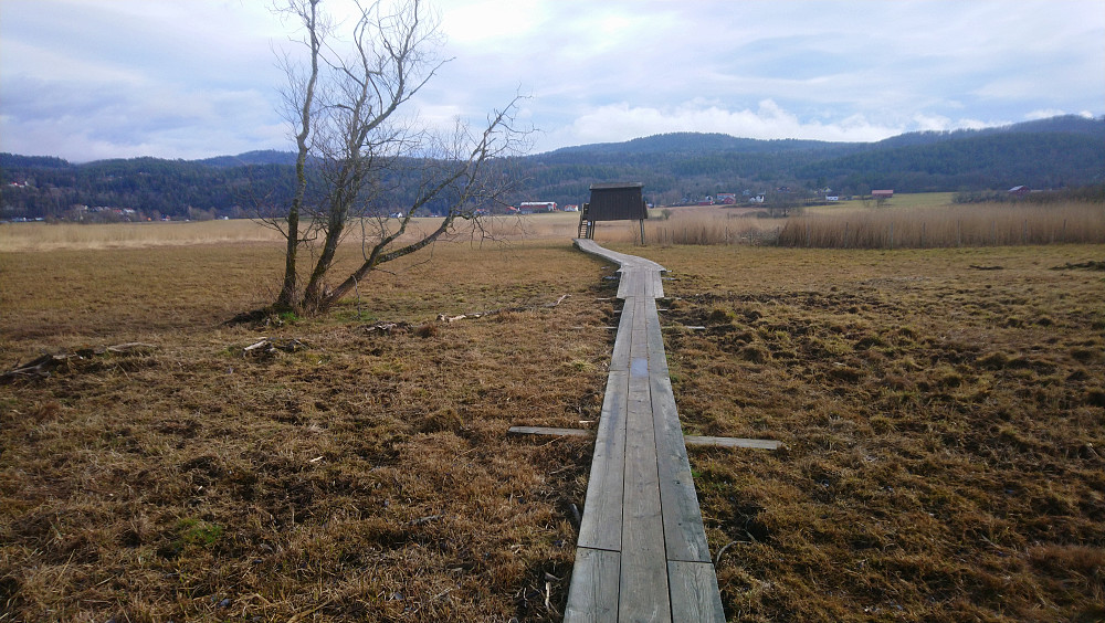 Bilde mot det gamle fugletårnet