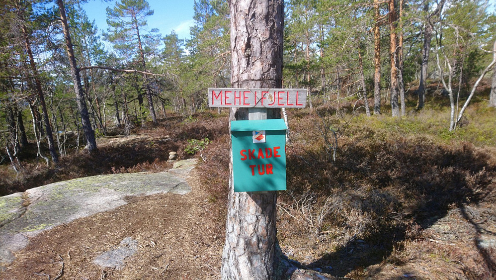 Trimkassa på toppen