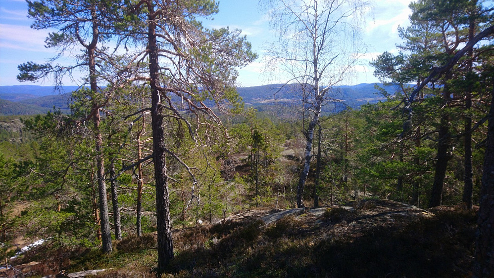 Utsikt fra en kant nedenfor toppen
