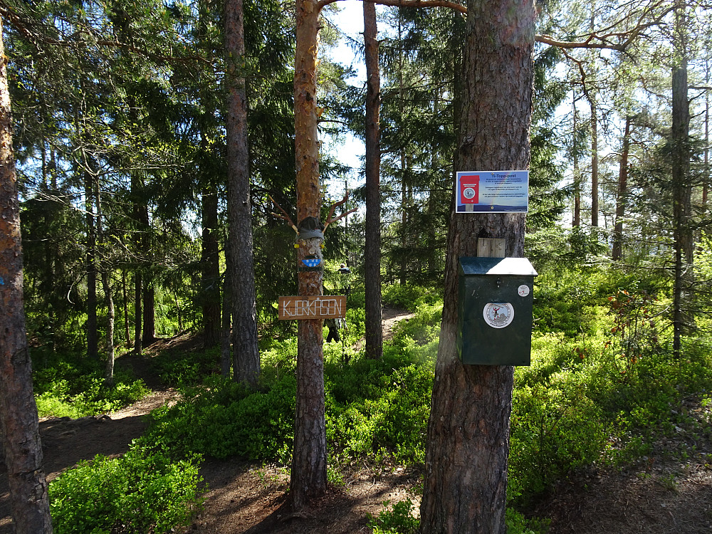 Kjerkeåsen