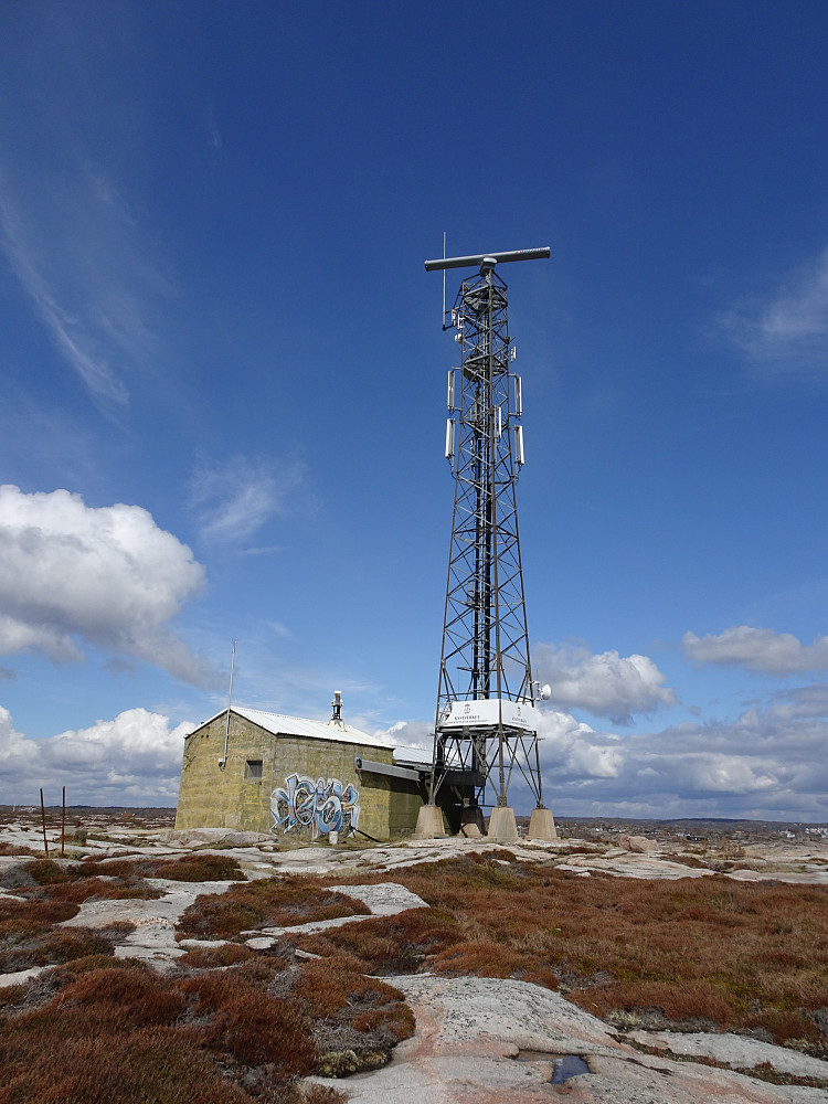 Toppen på Vikertangen