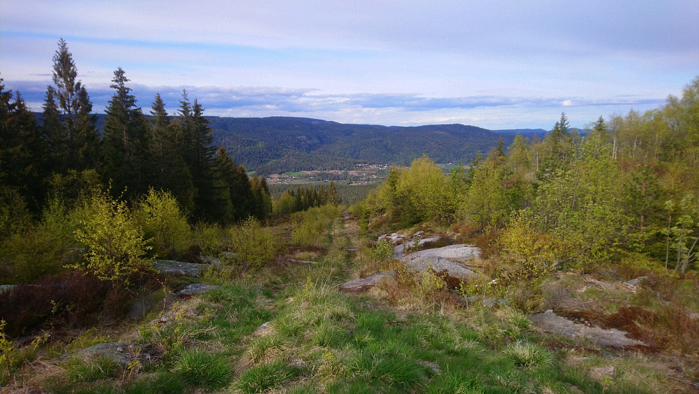 Utsikt fra toppen av alpinbakken (Ristingkollen)