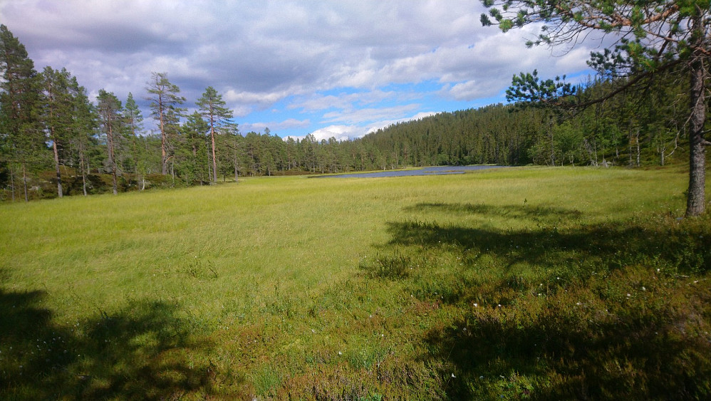 Flere store myrer en skal forsere på veien opp