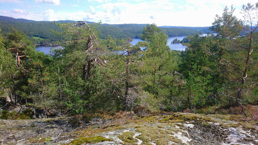 Utsikt fra toppen