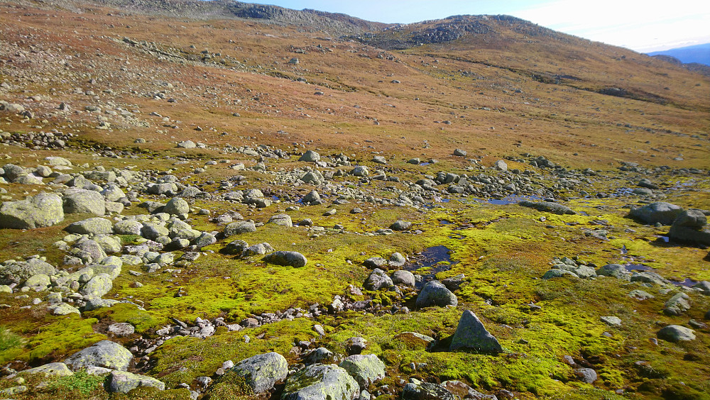 Skikkelig idyllisk område