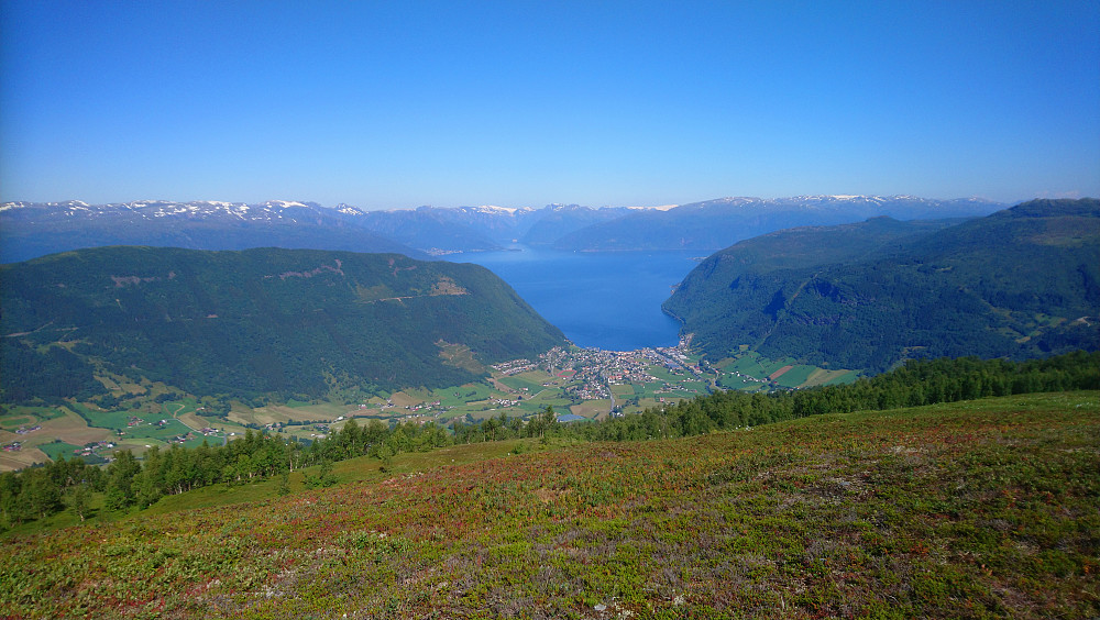 Utsikt over Vik og Sognefjorden fra Daurmålshaugen